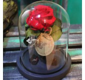 Необычная роза в колбе mini